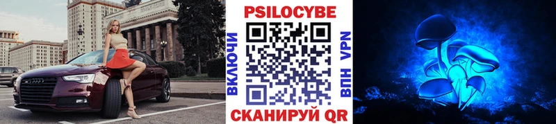 Псилоцибиновые грибы Psilocybe  Симферополь 